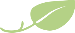 A light green leaf
