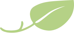 A light green leaf